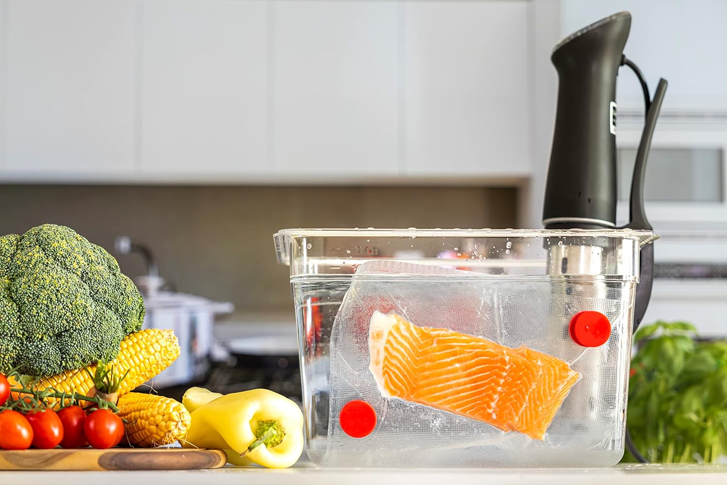 طلاء سيليكون آمن على الغذاء مغ - مراجعة Sous Vide Immersion وسعره
