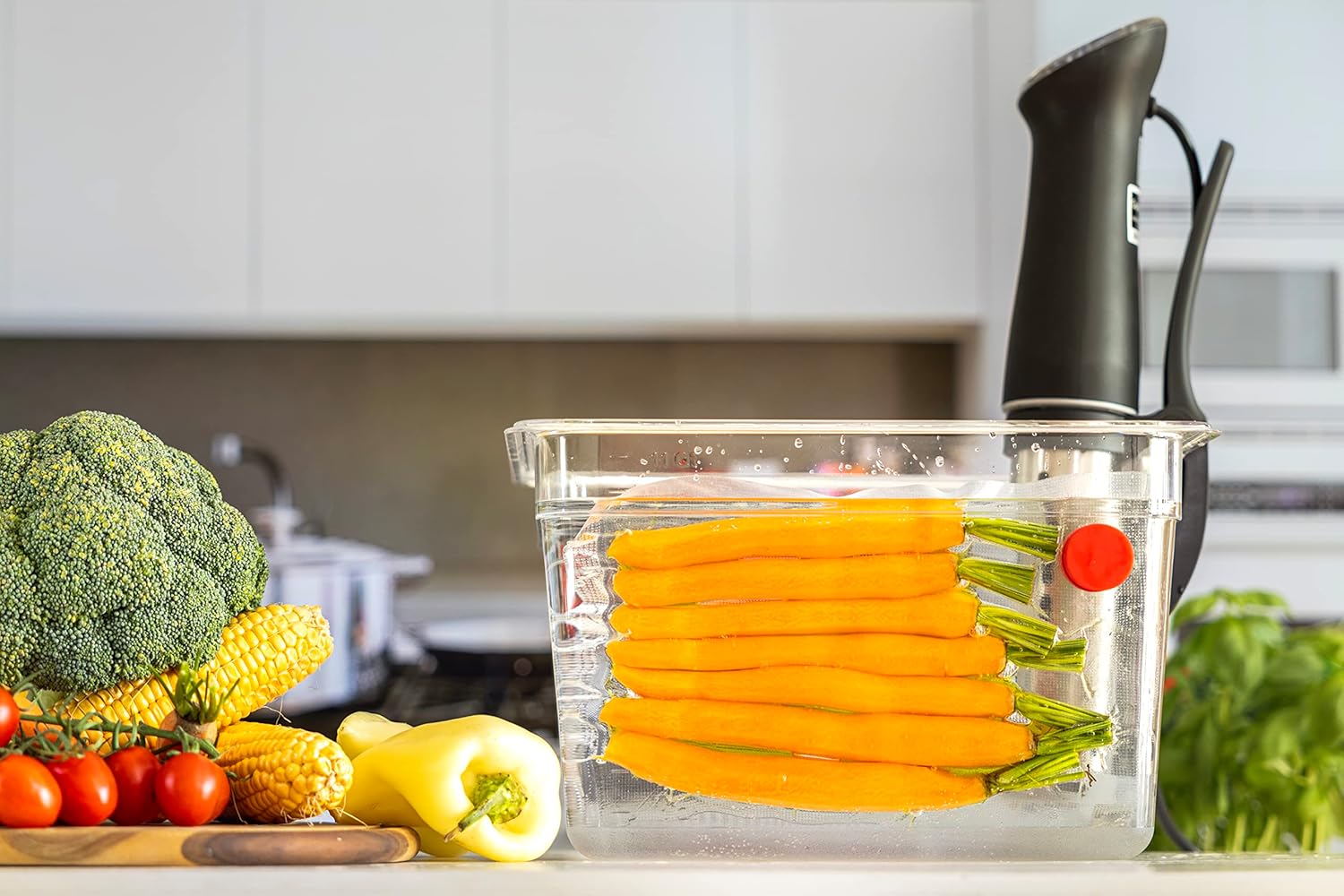 طلاء سيليكون آمن على الغذاء مغ - مراجعة Sous Vide Immersion وسعره